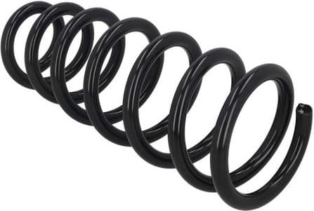 Suspension Spring 2110548 - image 3