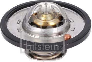 Thermostat, coolant 193096