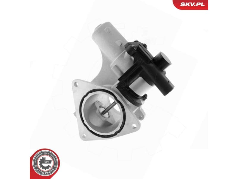 EGR Valve 14SKV320