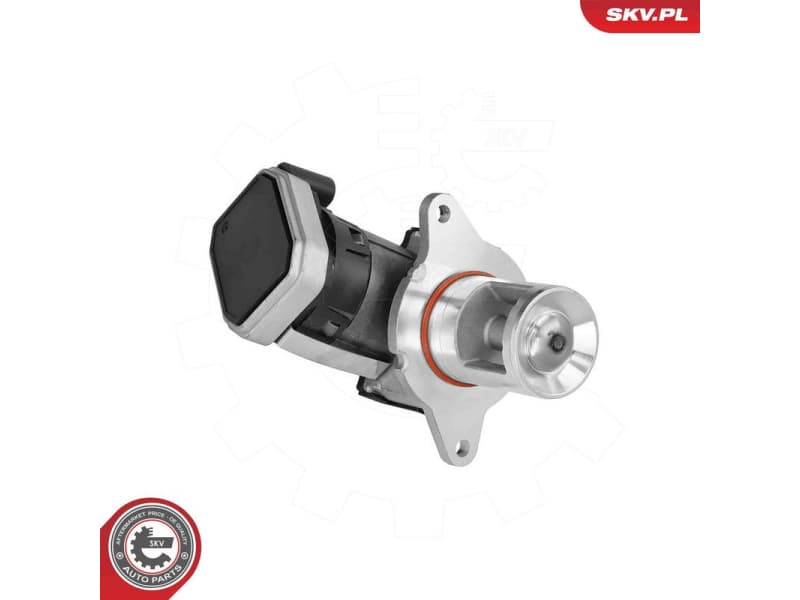 EGR Valve 14SKV307