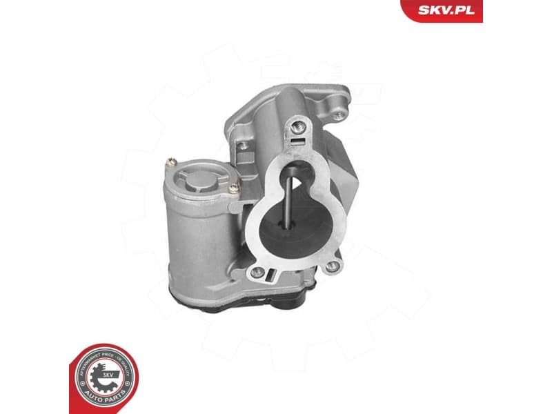 EGR Valve 14SKV317