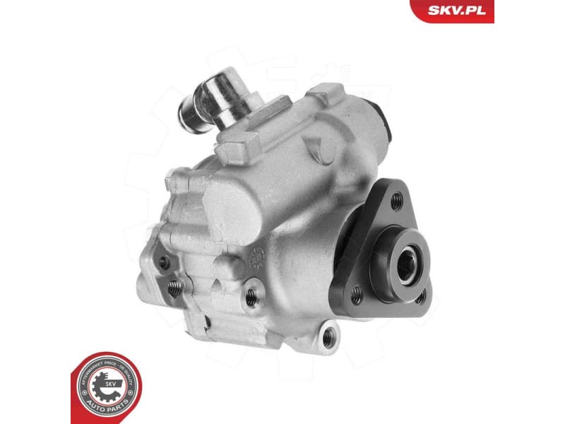 Hydraulic Pump, steering 10SKV324