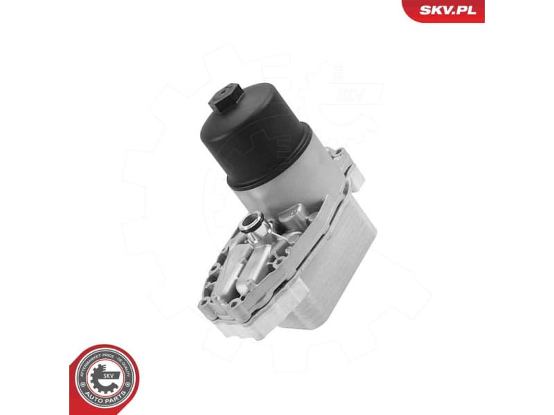 Oil Cooler, engine oil 31SKV438