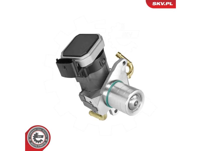 EGR Valve 14SKV303