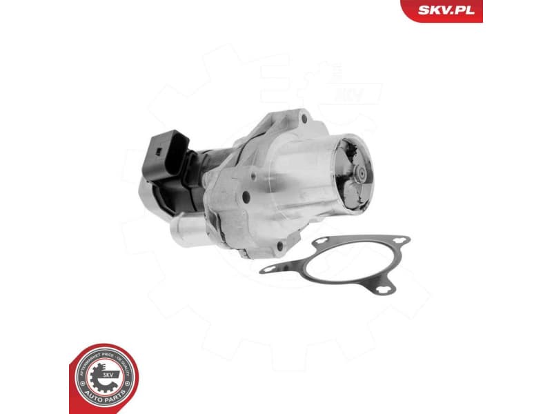 EGR Valve 14SKV304