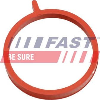 Seal Ring, charge air hose FT48964