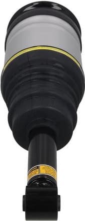 Air Suspension Strut 2070095