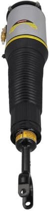 Air Suspension Strut 2070095 - image 2
