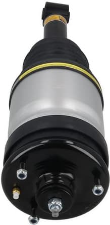 Air Suspension Strut 2070095 - image 3