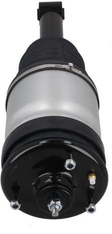 Air Suspension Strut 2070095 - image 4