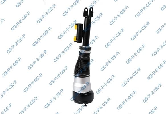 Air Suspension Strut 30900301