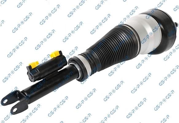 Air Suspension Strut 30900302