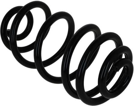 Suspension Spring 2120556 - image 3