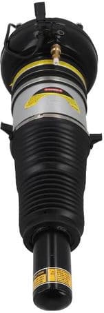 Air Suspension Strut 2070093