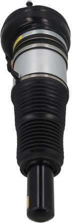 Air Suspension Strut 2070093 - image 2