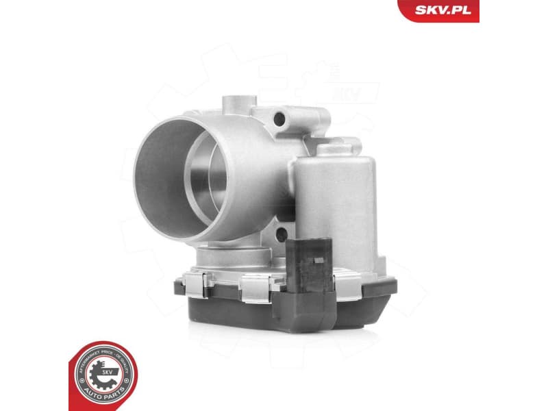 Throttle Body 12SKV147
