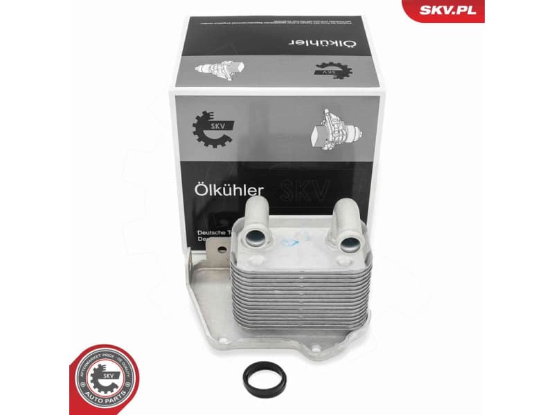Oil Cooler, engine oil 31SKV346