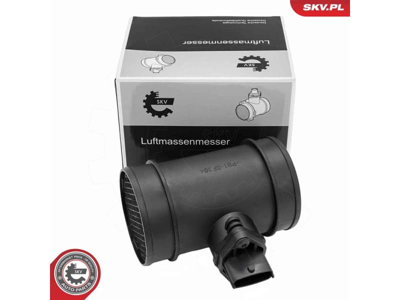 Mass Air Flow Sensor 07SKV317