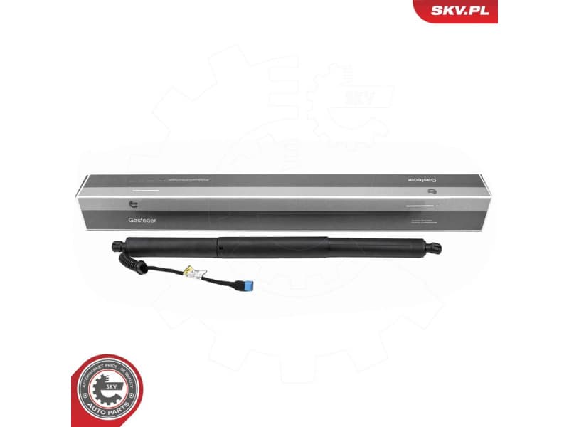 Electric Motor, tailgate 52SKV186