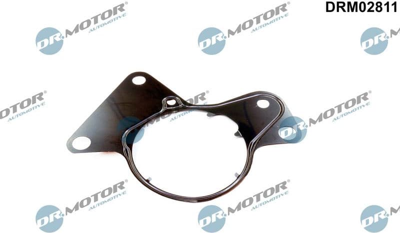 Gasket, fuel pump DRM02811