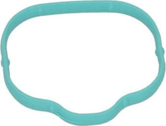 Gasket, intake manifold 8704239