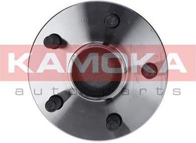 Bearing wheel 5500093