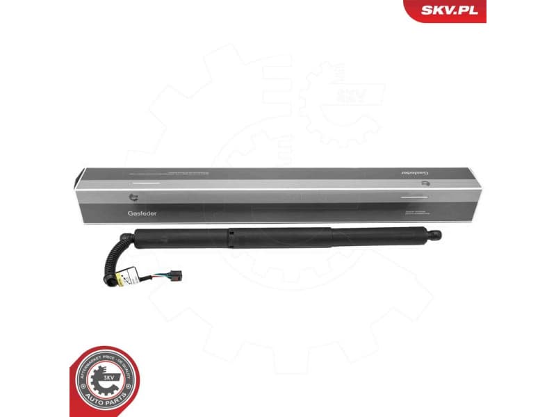 Electric Motor, tailgate 52SKV205