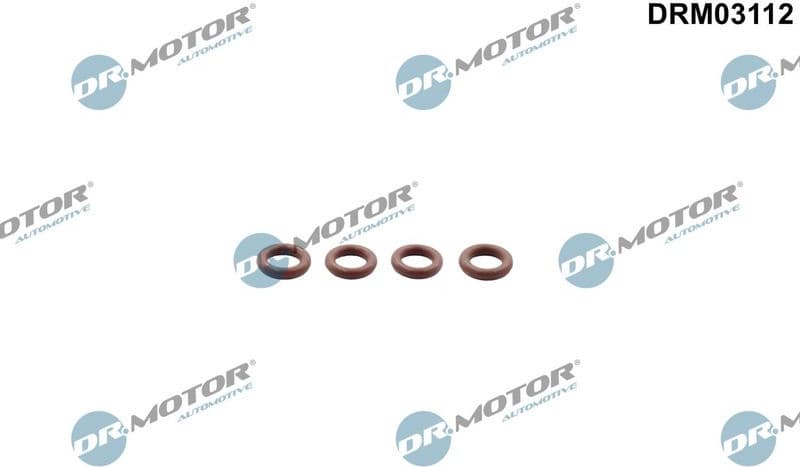 Seal Ring, injector DRM03112