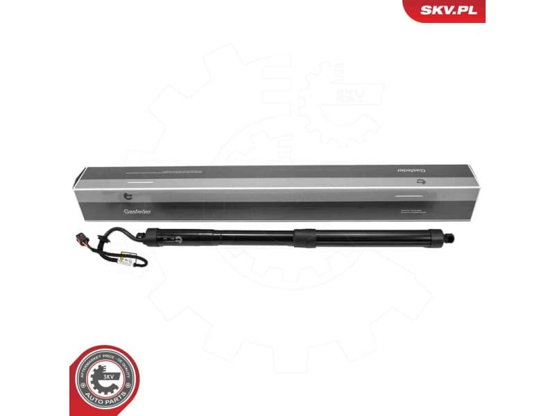 Electric Motor, tailgate 52SKV211