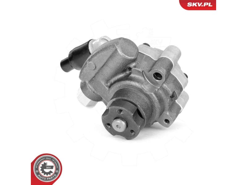 Hydraulic Pump, steering 10SKV325