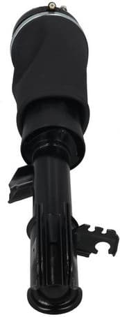 Air Suspension Strut 2070066