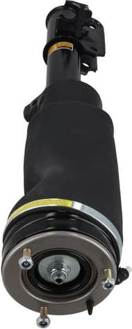 Air Suspension Strut 2070066 - image 3