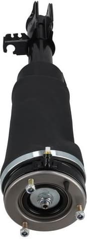 Air Suspension Strut 2070066 - image 4
