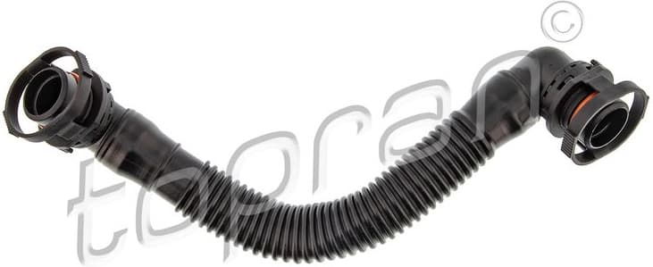 Hose, cylinder head cover ventilation 119 272