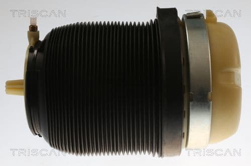 Air Spring, suspension 8720 29202