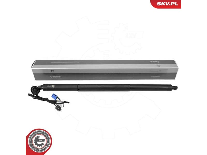 Electric Motor, tailgate 52SKV998