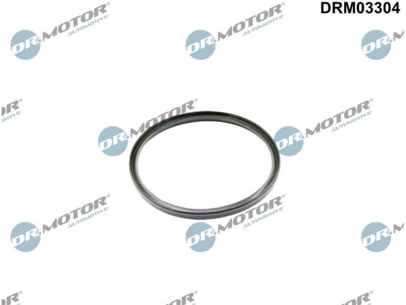Seal Ring, charge air hose DRM03304