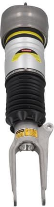 Air Suspension Strut 2070104