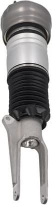 Air Suspension Strut 2070104 - image 2
