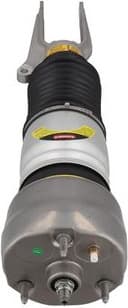 Air Suspension Strut 2070104 - image 3