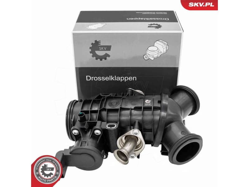 Throttle Body 12SKV150