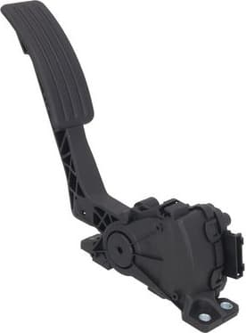 Accelerator Pedal 4200012