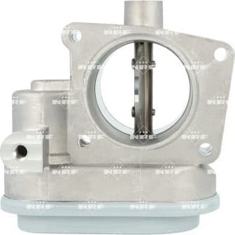 Throttle Body 408049