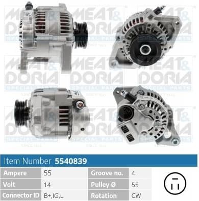 Alternator 5540839
