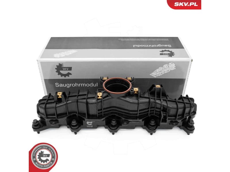 Intake Manifold Module 49SKV089