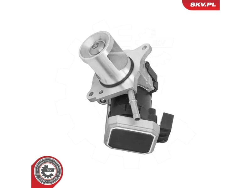 EGR Valve 14SKV310