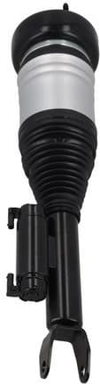 Air Suspension Strut 2070059 - image 2