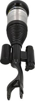 Air Suspension Strut 2070063 - image 3