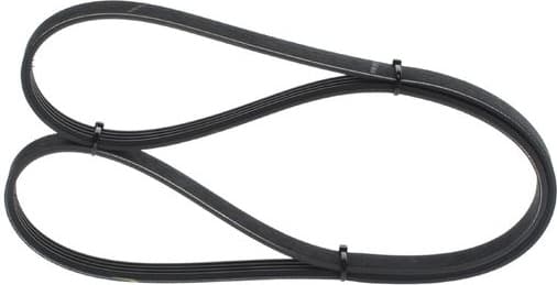 V-ribbed Belt 1 987 947 578 - image 7