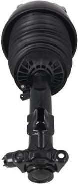 Air Suspension Strut 2070111